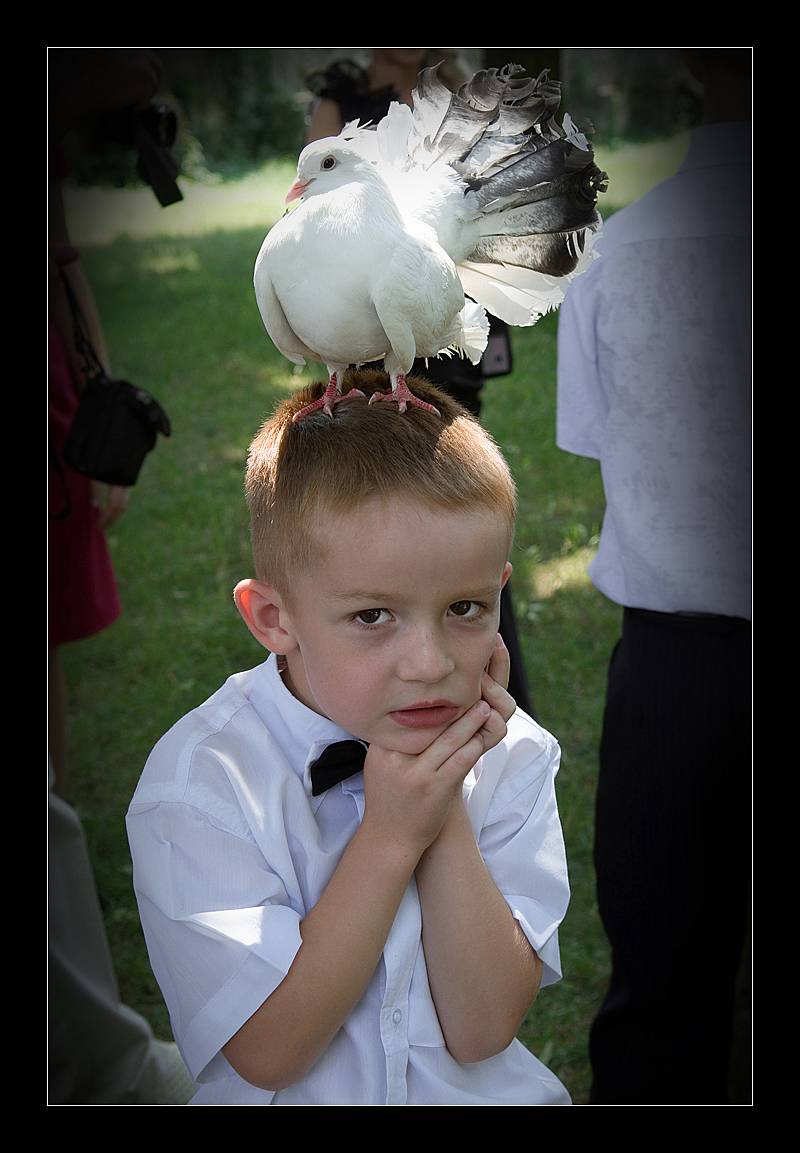 подружились