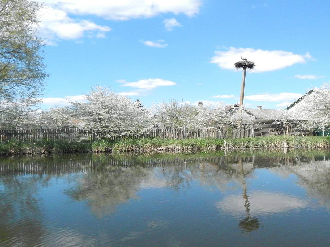 Весняне пробудження