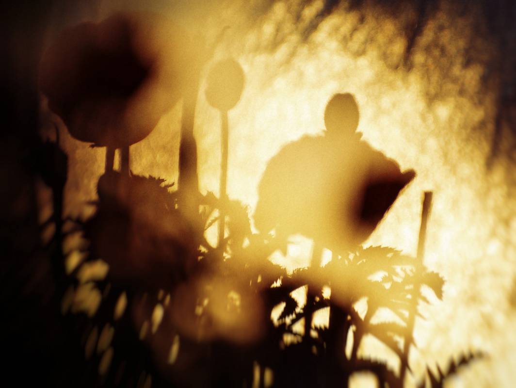 Золота сповідь