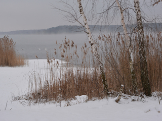 Зимовий етюд