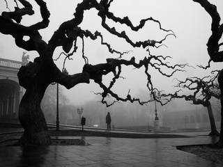 Без названия