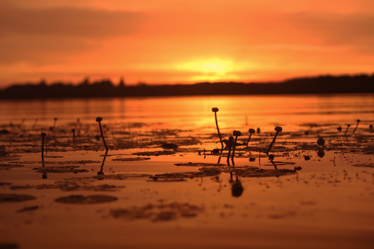 Закат после дождя