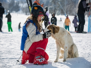 любовь к животным