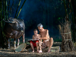 Ông dạy cháu họ