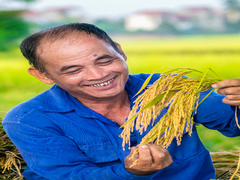 Niềm vui được mùa