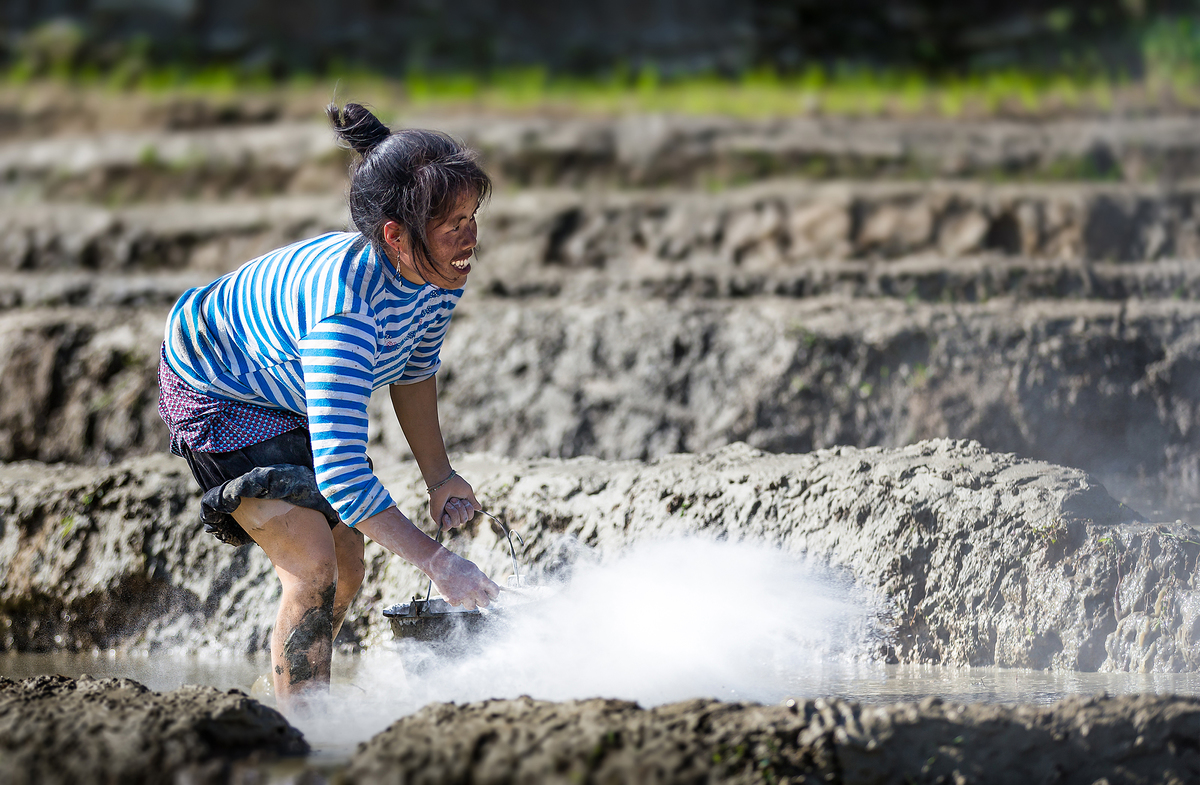 Niềm vui lao động