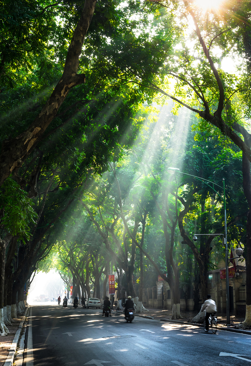 Hanoi in the morning
