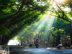 Hanoi in the morning