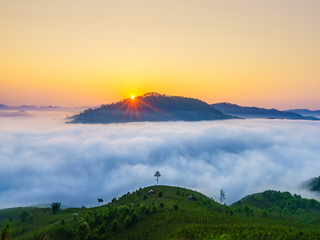 Thiên nhiên Đà Lạt, Vietnam