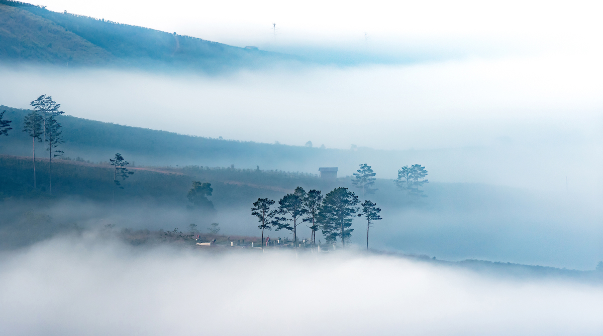 Thiên nhiên Đà Lạt, Vietnam