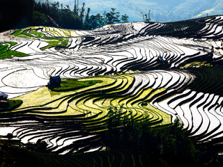 Nước đổ ở Lào Cai, Vietnam