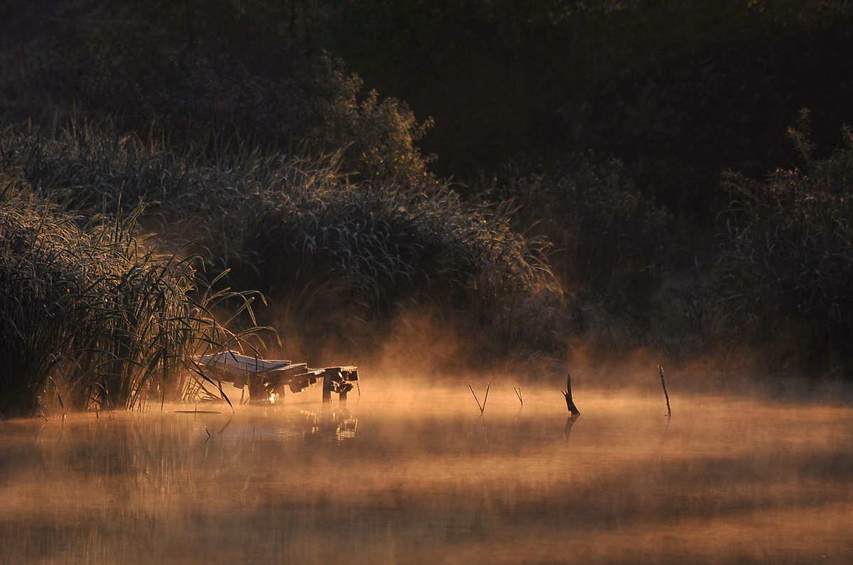 В сонячних променях