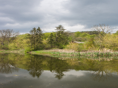 Весняна казка