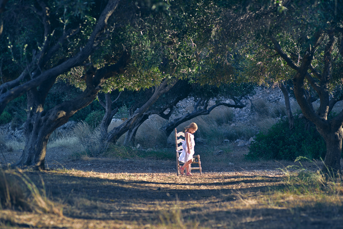 Бархат вечера