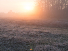 седой рассвет