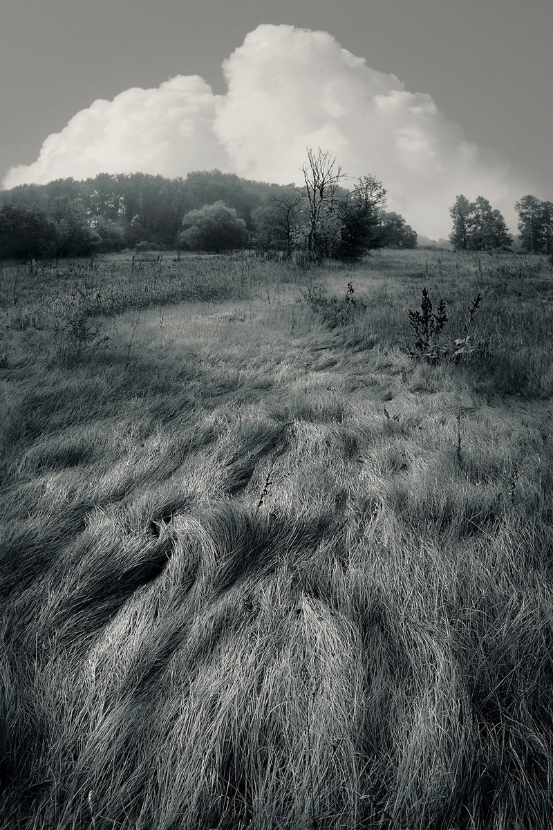 Мелодия дуновения