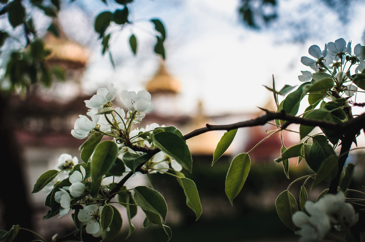 Пробудження від сну