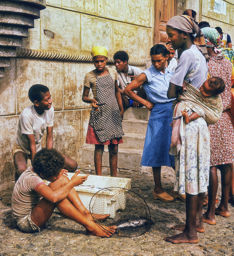 Рыбный базар