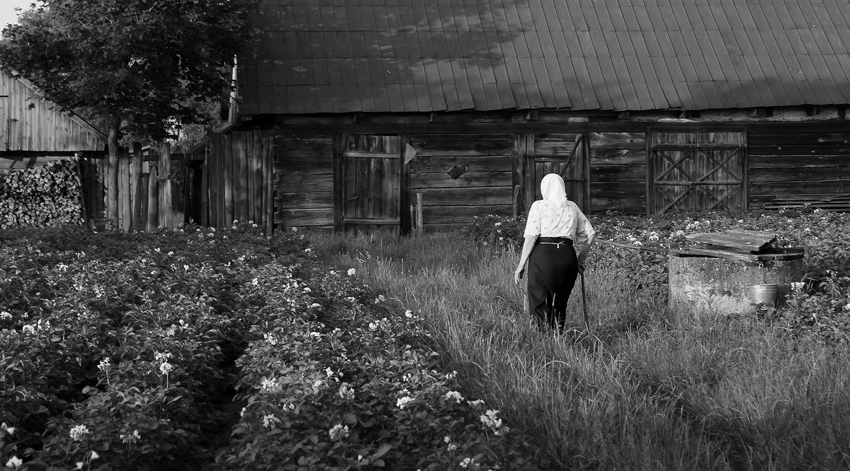Пейзаж українського села