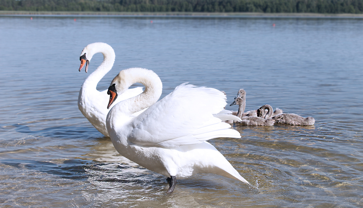 Справжня 7*я.