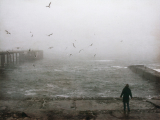 Унесите чайки