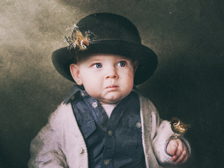 Храбрый орнитолог