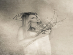 Компаньйонка для весни