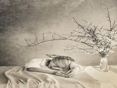 Компаньйонка для весни_1