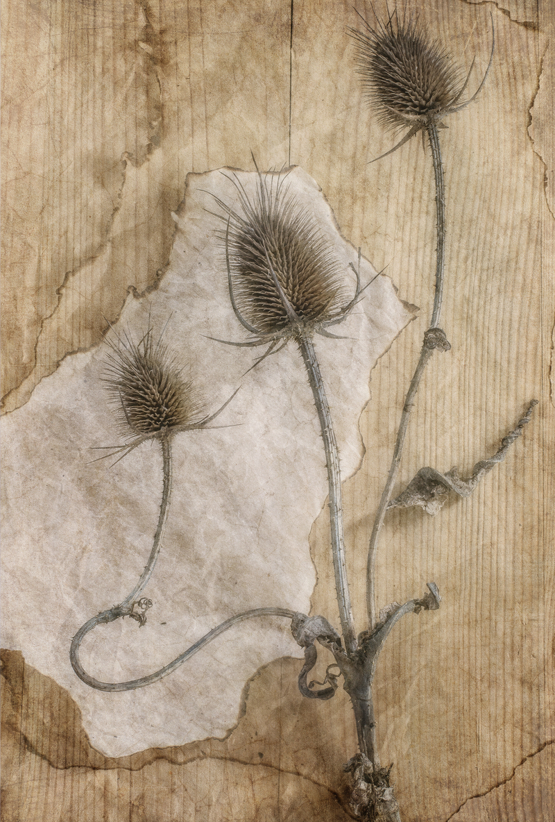 Листування із зимою