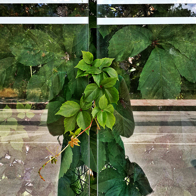 Лето внутри. Автопортрет