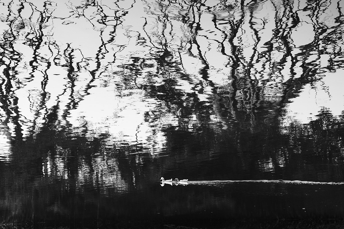 reflection of nature