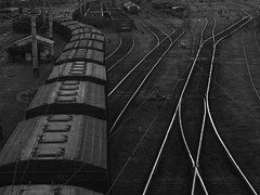 Струни життя