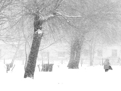 На зимові канікули