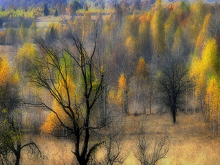 Transylvanian autumn