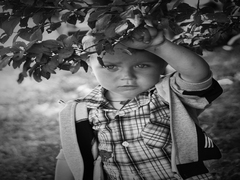 Маленький буковинец