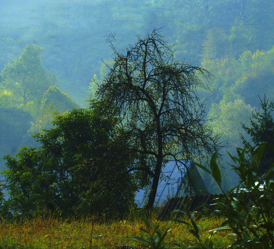 Весна в Карпатах