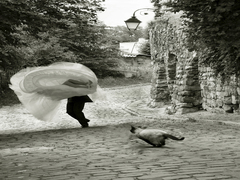 Похищение Невесты