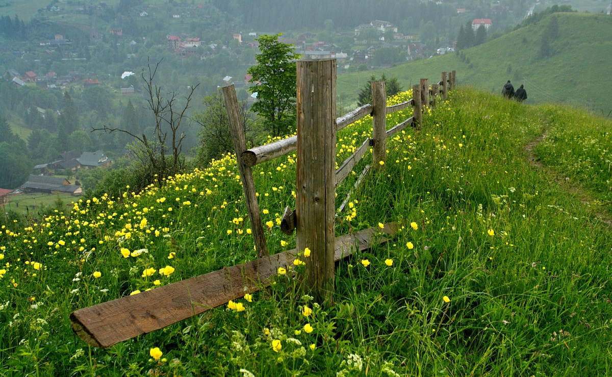 The road to the house