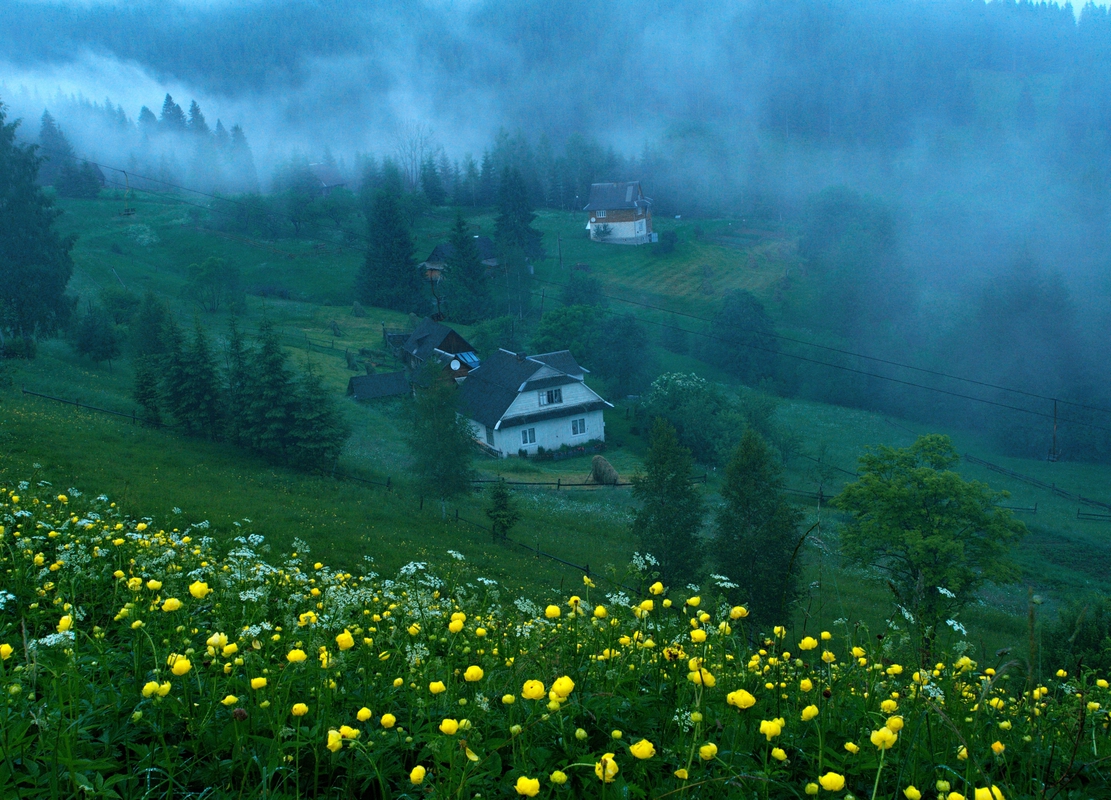 поміж квітів та туману