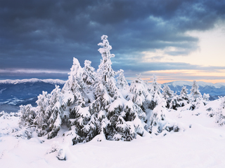 Перший сніг