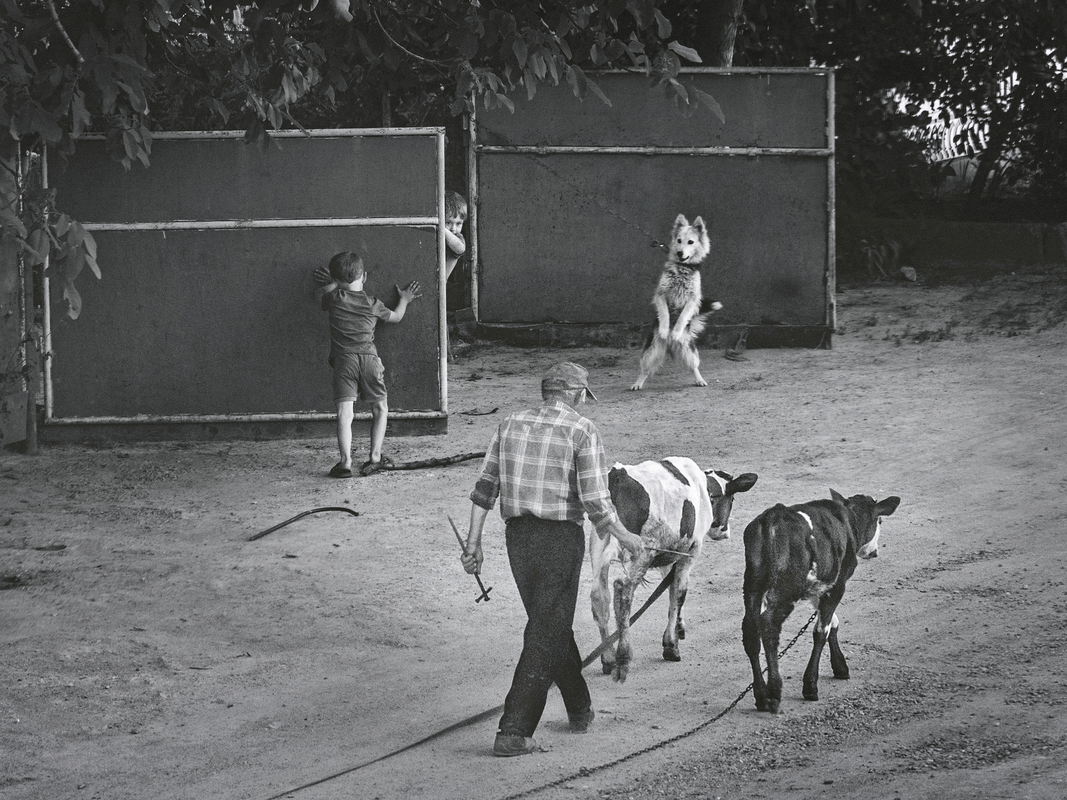 На улице моей 