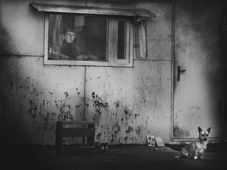 Надежная защита