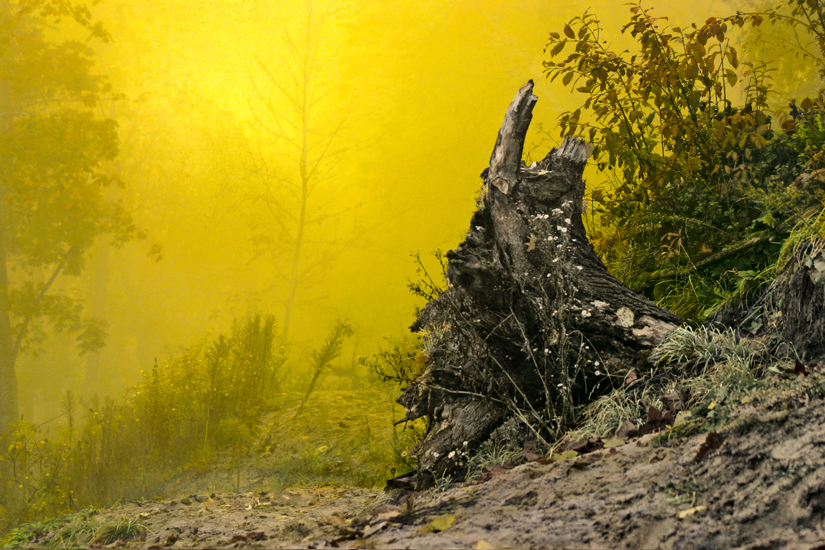 День починається