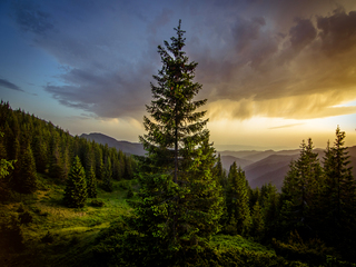 Вечір в Карпатах