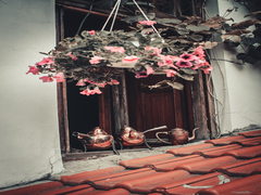 Ранок чайників