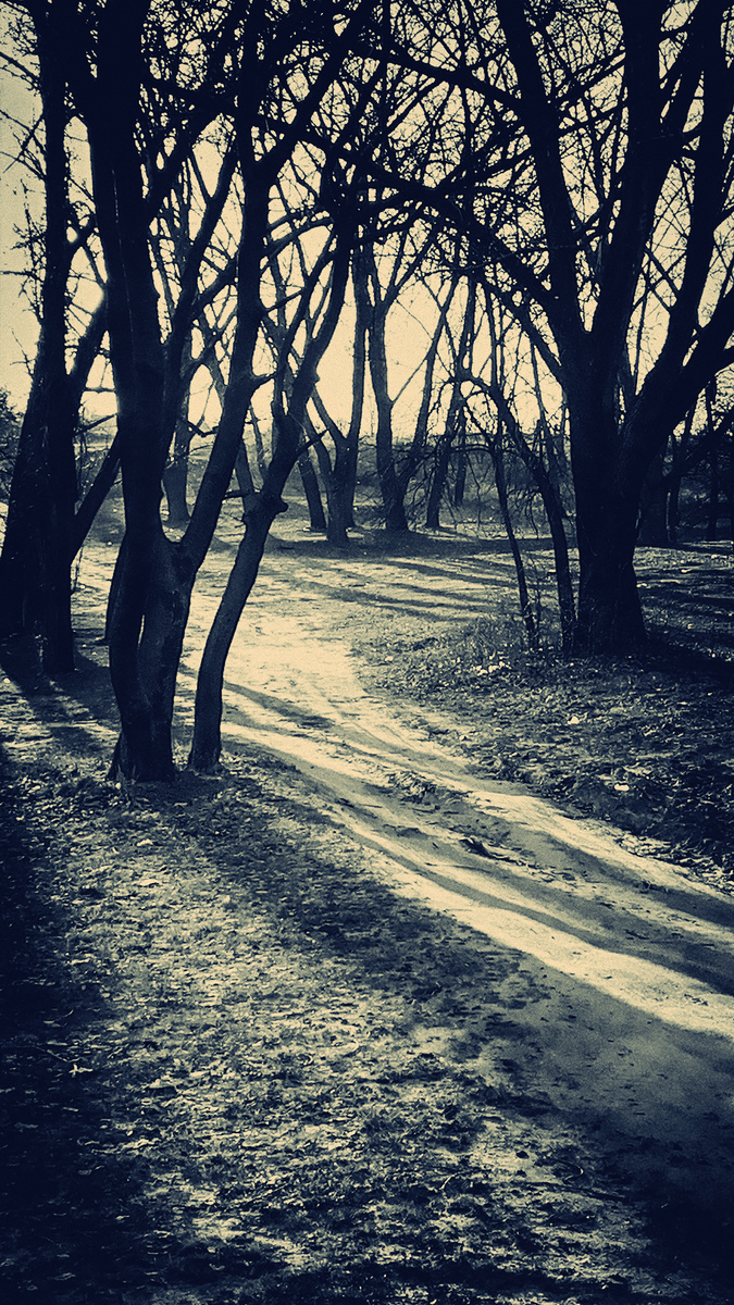 ПОСЛЕДНИЙ ДЕНЬ ОСЕНИ . . .