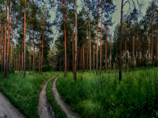 ЛЕТНИЙ ВЕЧЕР . . .