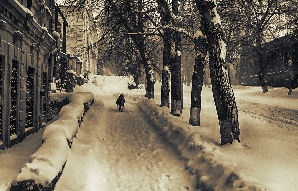 ОПЯТЬ МЕТЕЛЬ . . .