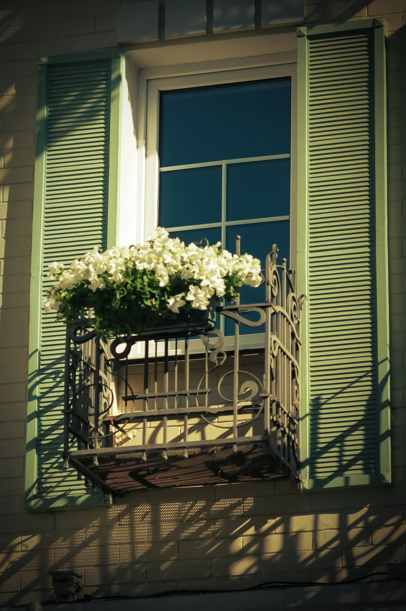 ОКНО ЛЮБИМОЙ . . .