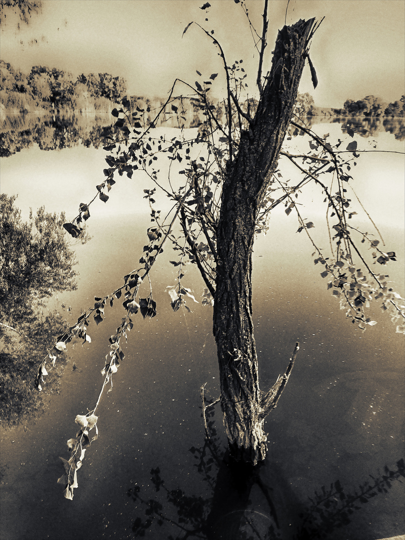 ОДИНОЧЕСТВО . . .